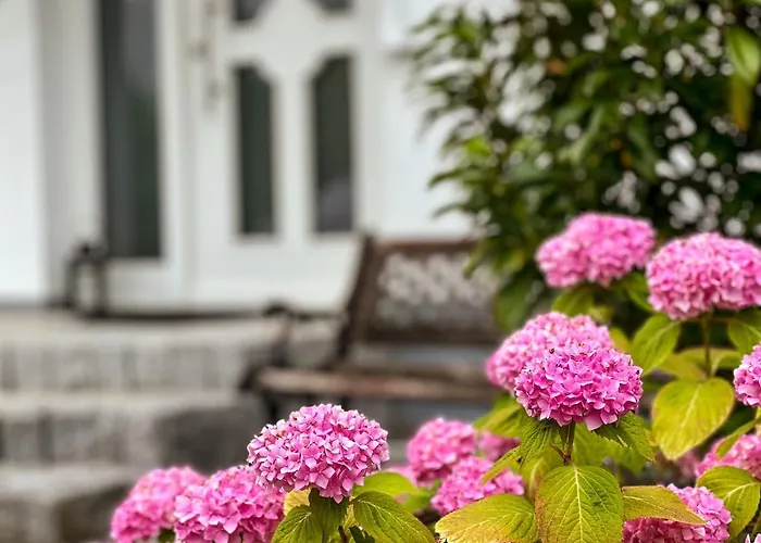 Prázdninový dům Storchennest